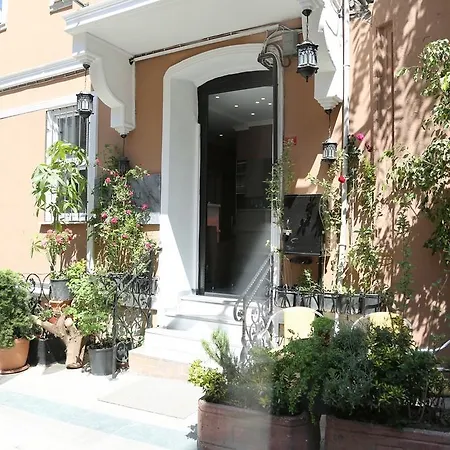 Bayer * Istanbul